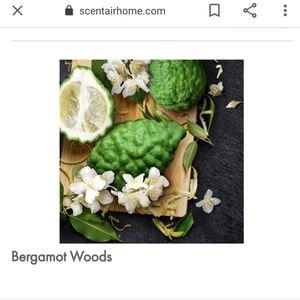 ScentAir Bergamot Woods Cartidge